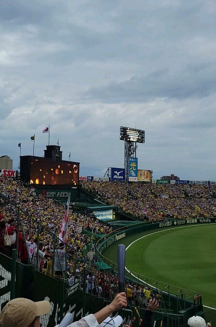 本日阪神タイガースがアレの場合、スタッフAの独断にて 明日